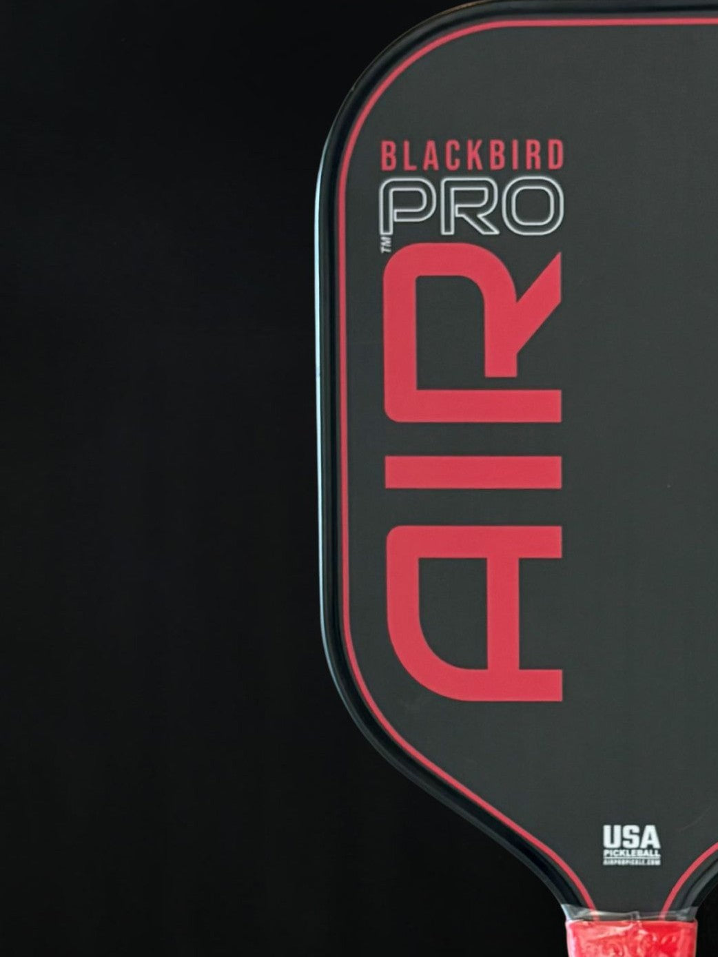 Blackbird